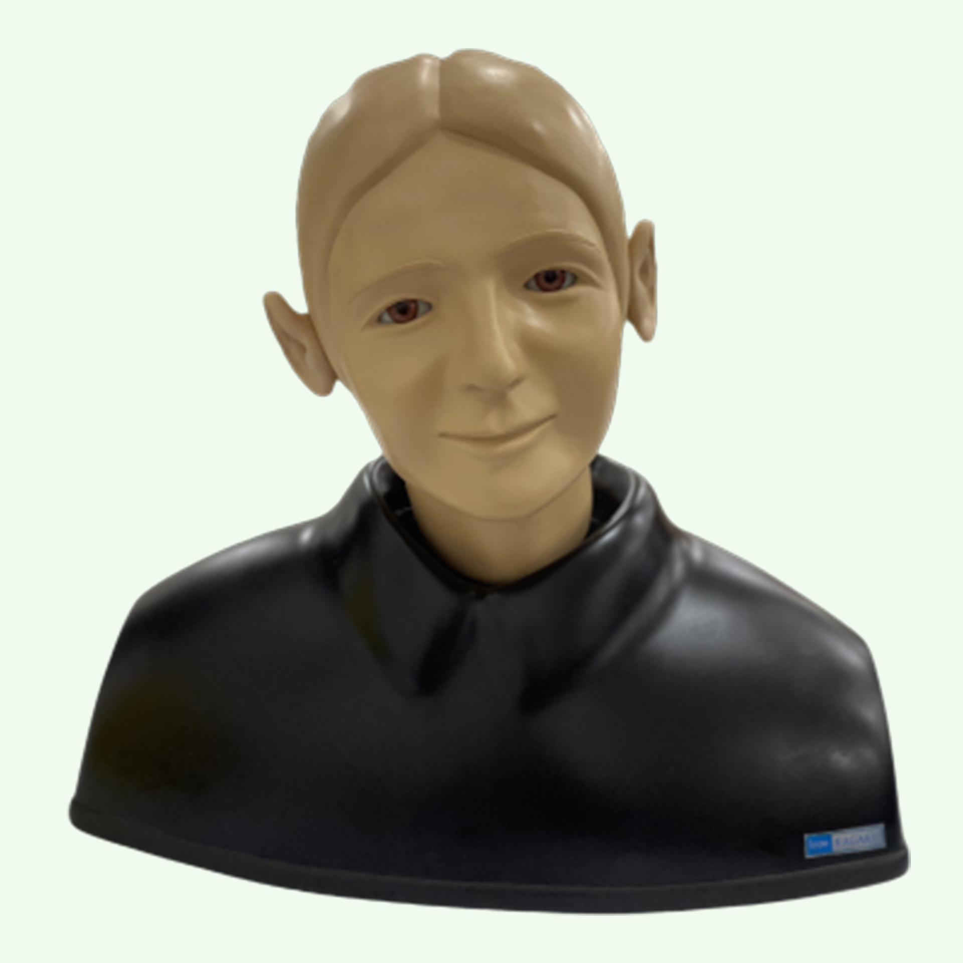 Model Pemeriksaan Telinga Image